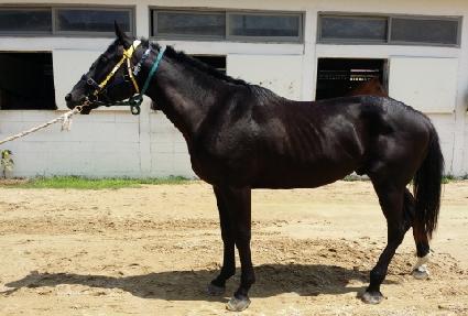 ���̿���Ƽ ����