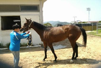 ������ ����