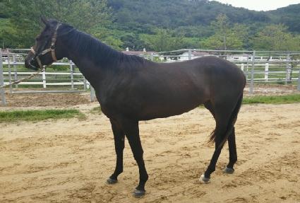 ��ȣ���� ����