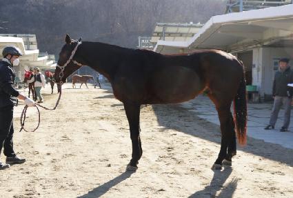 ����ĭ ����