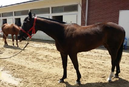 �·���� ����