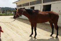 ���̿��ٶ� (K O BARAM) ����