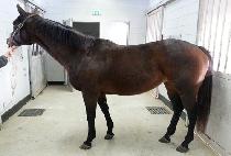 Ʈ������ (TWINZZ) ����