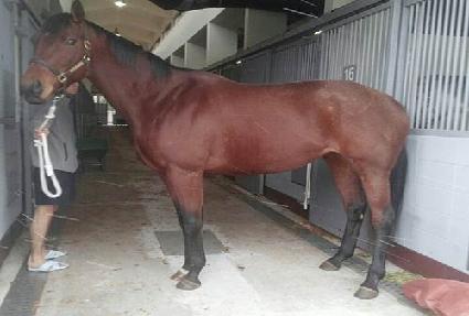 ĵ����Ʈ ����