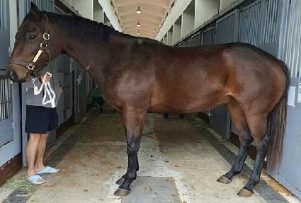 �������� ����