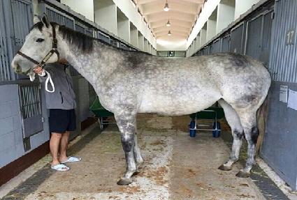 ��Ŭ���� ����