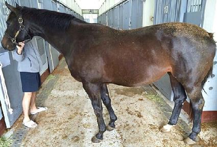 ���� ����