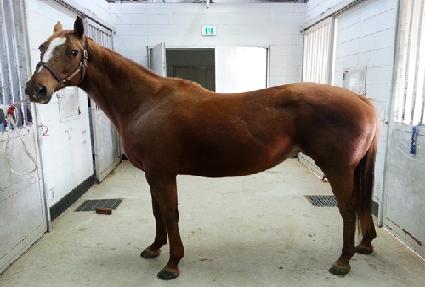 ��ٺ�� ����