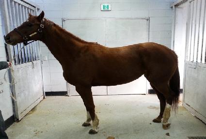 �Ǹ� ����