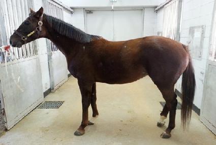 ��Űư�� ����