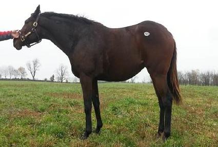 ���̽����� ����