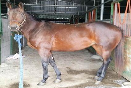 Ʈ������ ����