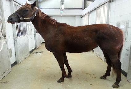 ����Ƽ����Ƽ ����