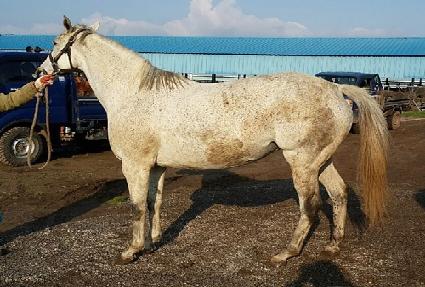 �����ǵ��� ����