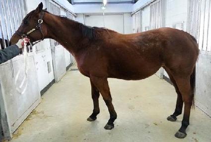 ��Ƽ�̽ù� ����