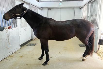 ��Ŭ���Ϻ��̺� ����