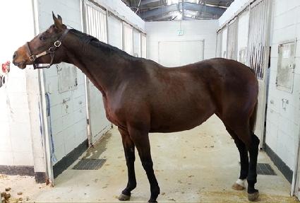 ĳ�ý����� ����