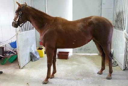 �ڹ���� ����