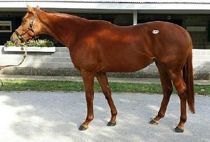 ������ ����