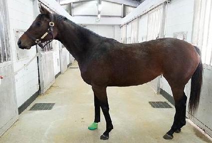 ���ӿ���� ����