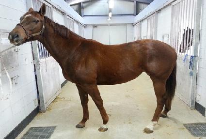 ���� ����