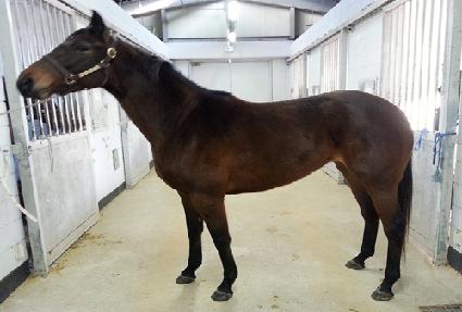 ������Ʈ�� ����