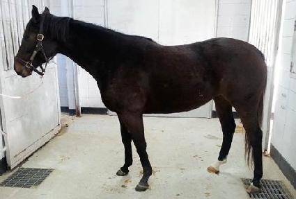 ���丣�� ����