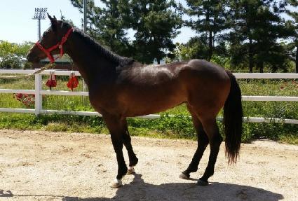 ���Ľ��� ����