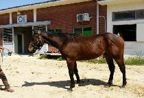 �¸���Ŭ�� (SEUGNI UNCLE MO) ����