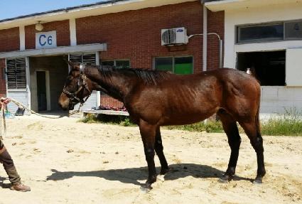 �¸���Ŭ�� ����