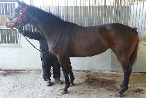 TOUCH MY HEART picture