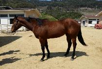 ����ǿ��� (UNMYEONGUIYEONGUNG) ����