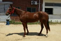 ����ǽִ� (HUIMANGUI SSANGDAL) ����