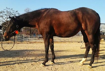 �����Ǽ������� ����