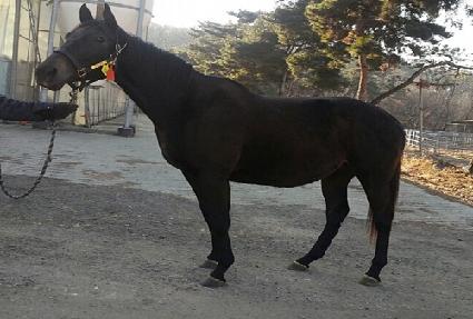 ���������� ����