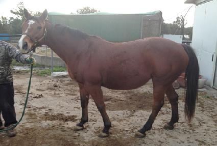 ���Ǿ ����