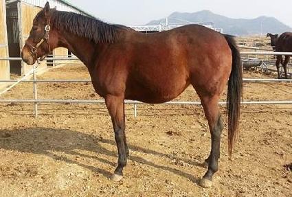 ����������Ʈ��� ����