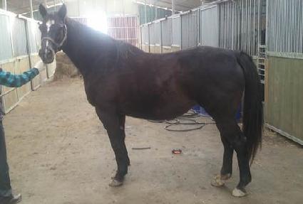 ���ض��̺��� ����