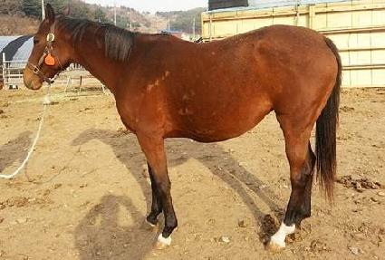 ����λ�� ����