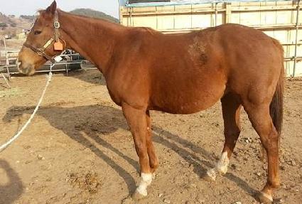 ��ť�ǽ� ����