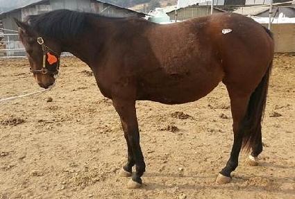 ���ʼ���� ����