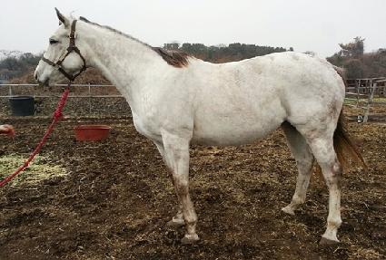 ����Ʃ�� ����