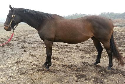 ũ����Űư ����