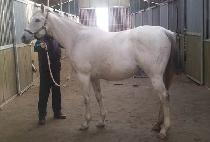 ����Ƽ (SO HOTTIE) ����