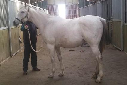 ����Ƽ ����