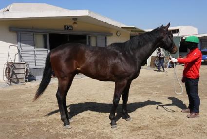 ���ϵ����ƮĹ ����