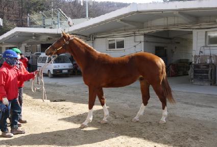 ���帲 ����