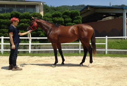 ��Ȱ�ǹݼ� ����