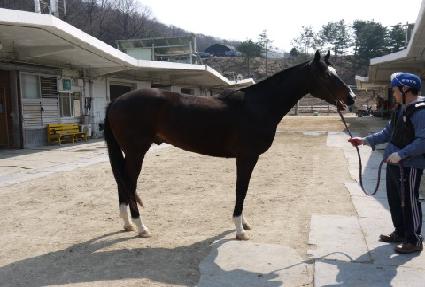 ���ϻ��̾�Ƽ��Ʈ ����