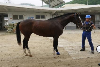 �ް�����Ʈ ����